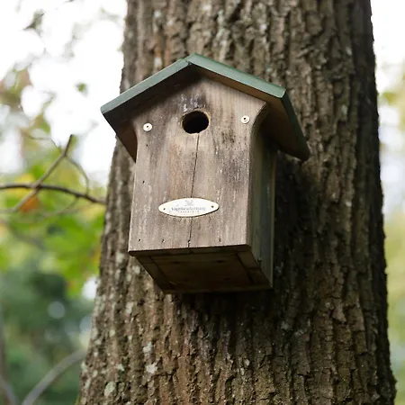 Vrijrijck - ארמלו