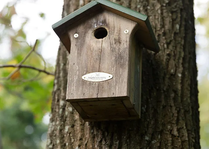 Vrijrijck - 埃尔默洛